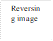 Reversing image